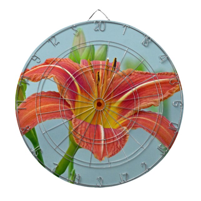 Diana Tiger Daylily (Frente)
