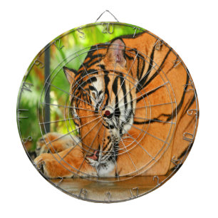 Diana Tigre durmiente