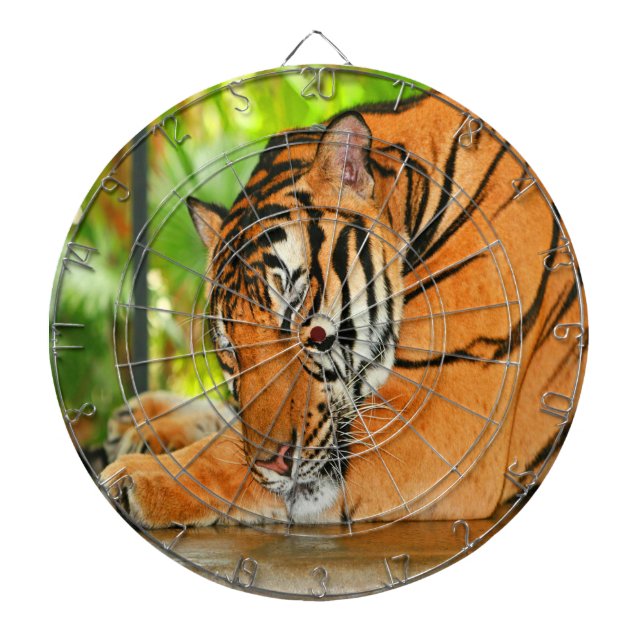 Diana Tigre durmiente (Frente)