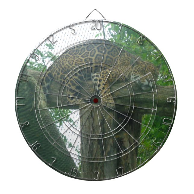 Diana Tigre durmiente sobre árboles, bosques, naturaleza (Frente)