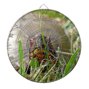 Diana Tortuga de caja