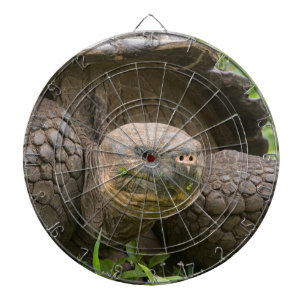 Diana Tortuga gigante
