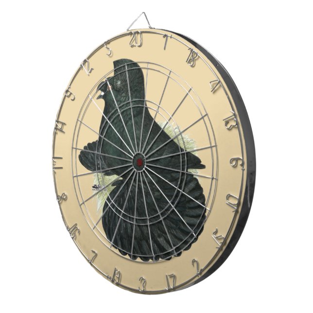 Diana Trumpeter Pigeon Black (Frente Derecha)