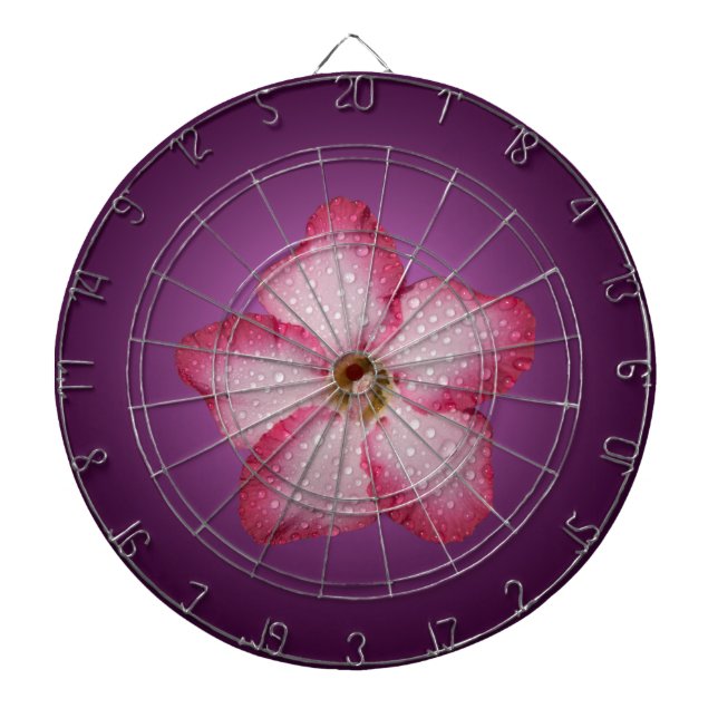 Diana Violencia de gradiente de flor rosa de adenio (Frente)