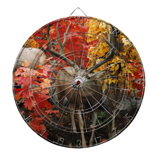 Diana Whitetail en otoño (Frente)