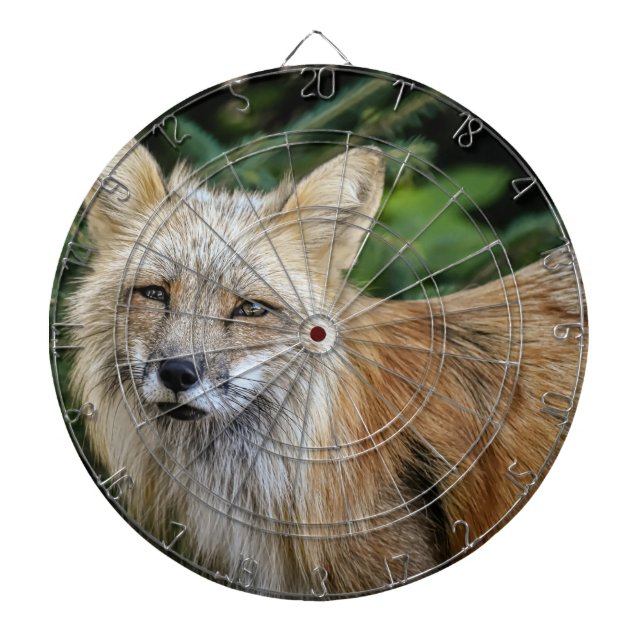 Diana Wild Fox (Frente)
