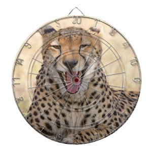 Diana Yawning Cheetah