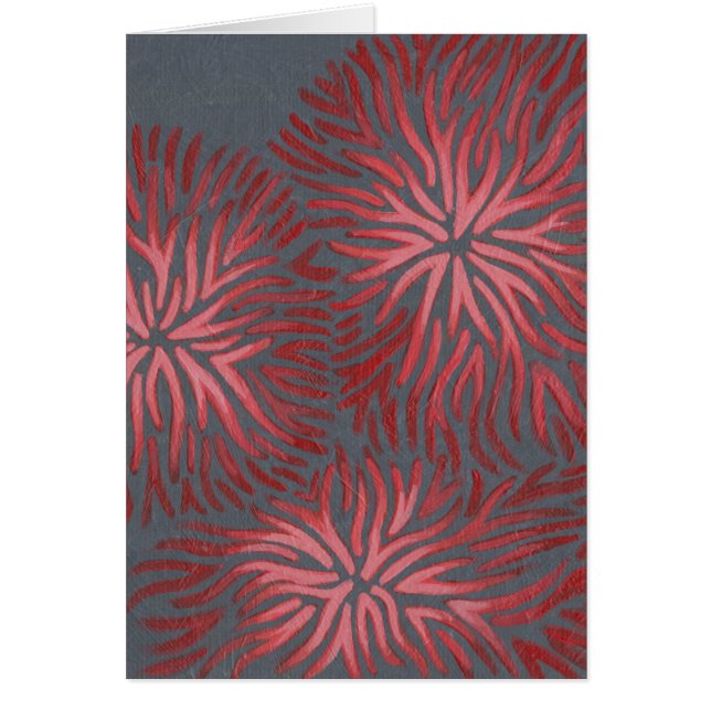 Dianthus II (Frente)