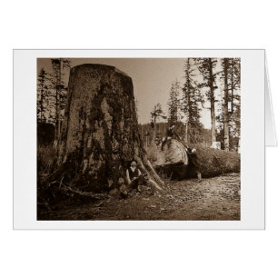 Diapositiva 1903 de linterna mágica de los