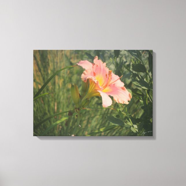 Diariamente en el soleado lienzo envuelto (Anverso)