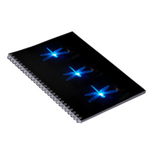 Diario azul del cuaderno de las libélulas que
