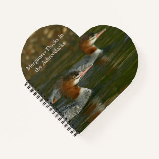 Diario con gallos merganser en los Adirondacks