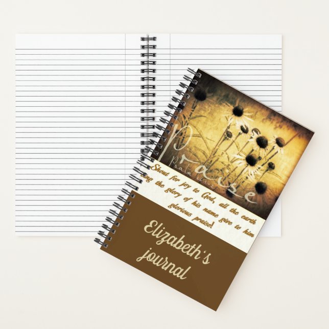 diario de Alabanza Gloriosa (Interior)