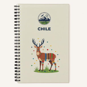 Diario de Archivo de Patrimonio de Chile y Fotos d