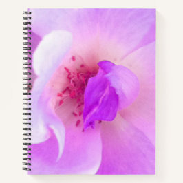 *~* Diario de Boda de Rosa de Lavanda Rosada