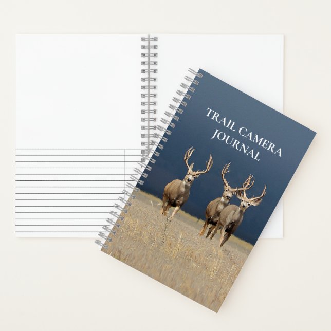Diario de cámara de rastreo de caza (Interior)