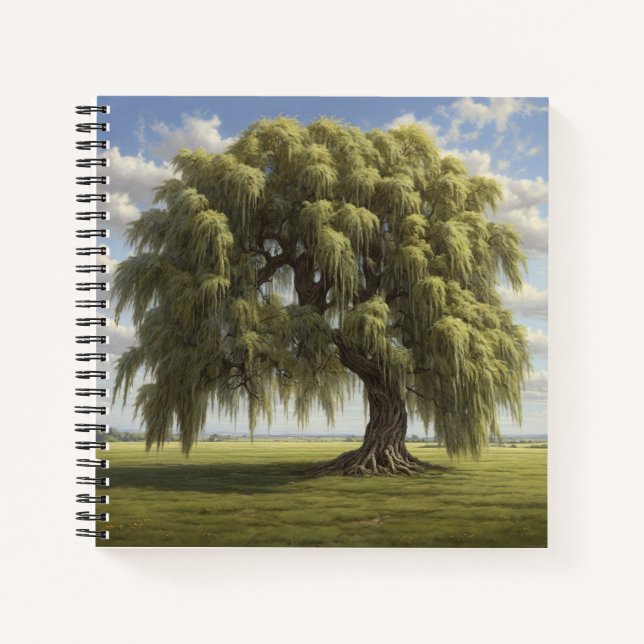 Diario de cubierta dura llorosa (Anverso)