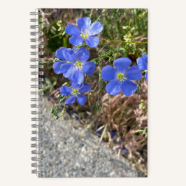 Diario de flor violeta azul