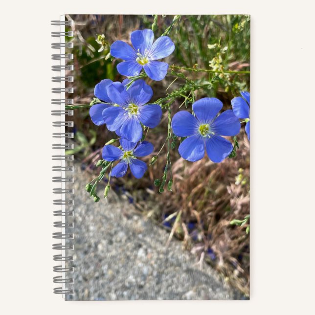 Diario de flor violeta azul (Anverso)