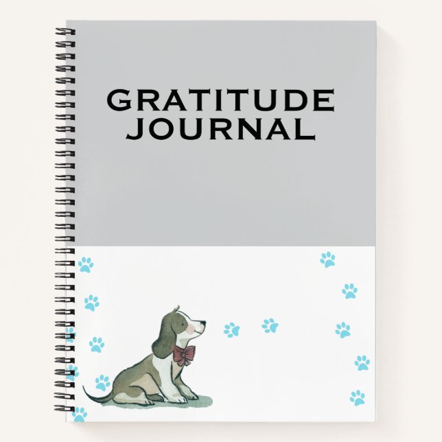 Diario de gratitud diaria | Reflexión consciente  (Anverso)