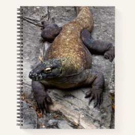 Diario de la Naturaleza del Dragón de Komodo