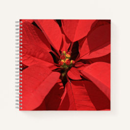 Diario de Navidades de Poinsettia