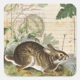 Diario de pegatinas de collage de conejo embalaje