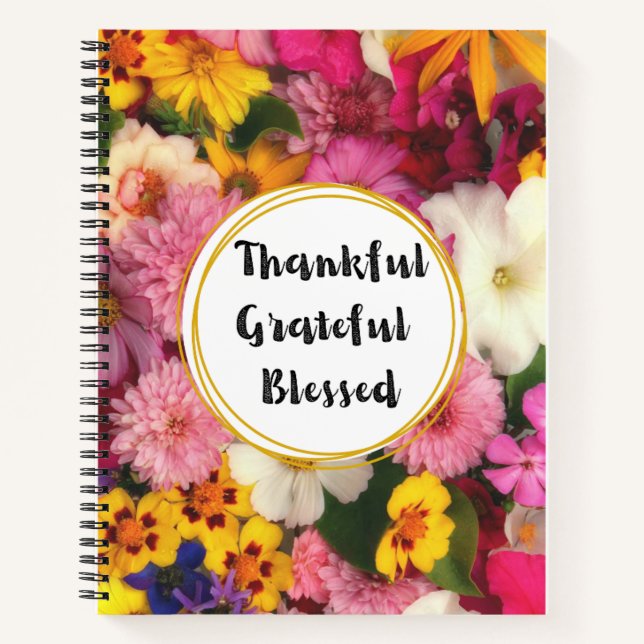 Diario de presupuesto motivador (Anverso)