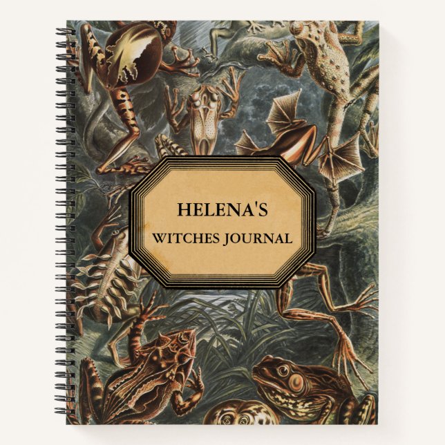 Diario de testigos de doble problema (Anverso)