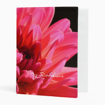 Diario del jardín de la dalia del rosa del libro