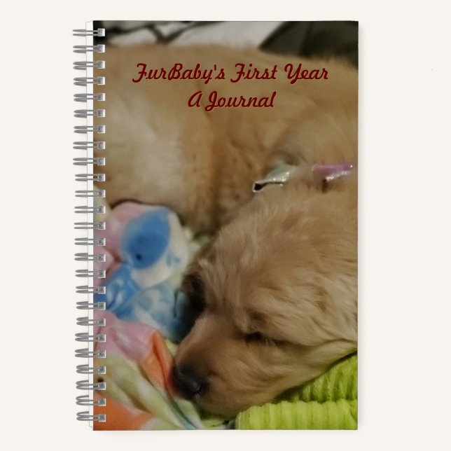 Diario del primer año de FurBaby (Anverso)