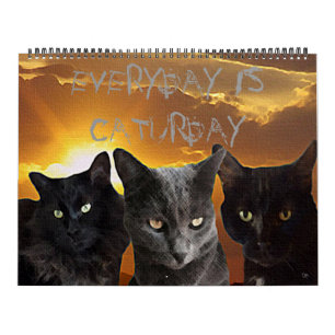 Diario es el calendario de Caturday