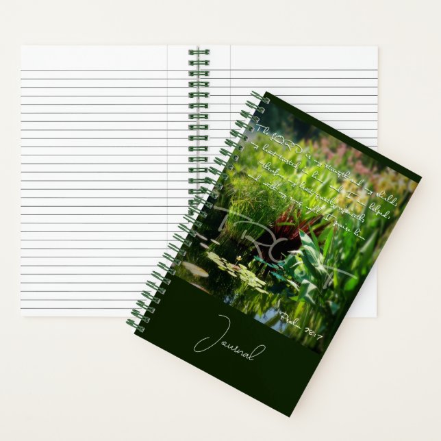 Diario escudo (Interior)