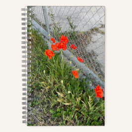 Diario naranja de Poppies
