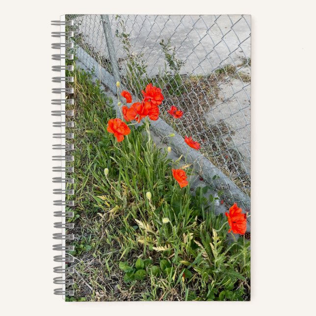 Diario naranja de Poppies (Anverso)