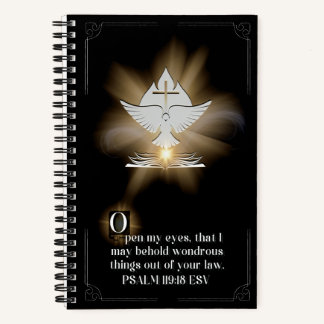 Diario O iluminado