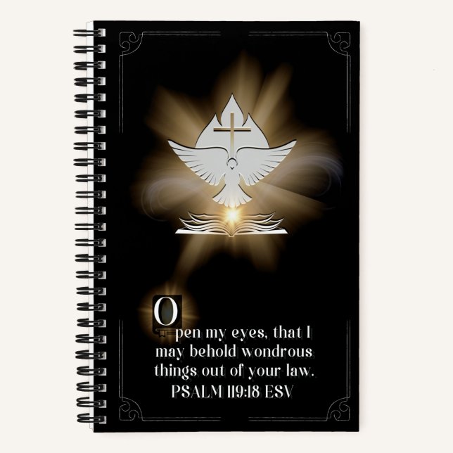 Diario O iluminado (Anverso)