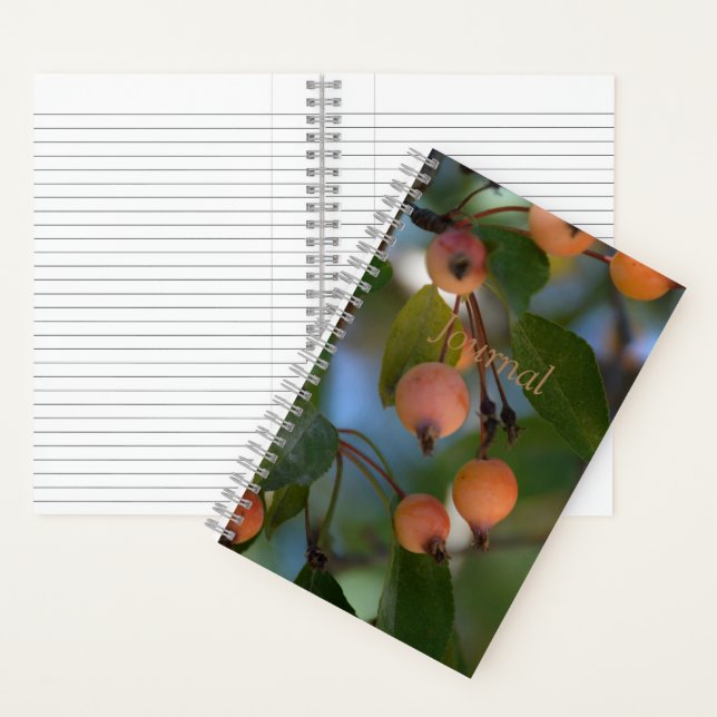 Diario - otoño (Interior)