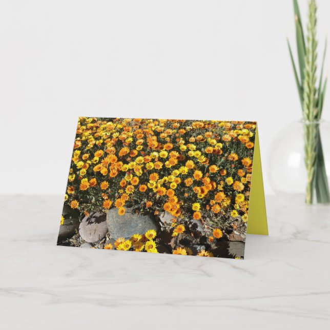 DIARIOS MEXICANOS, FLORES DE SALVAJES, TARJETA DE  (Anverso)