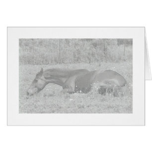 Días de verano perezosos