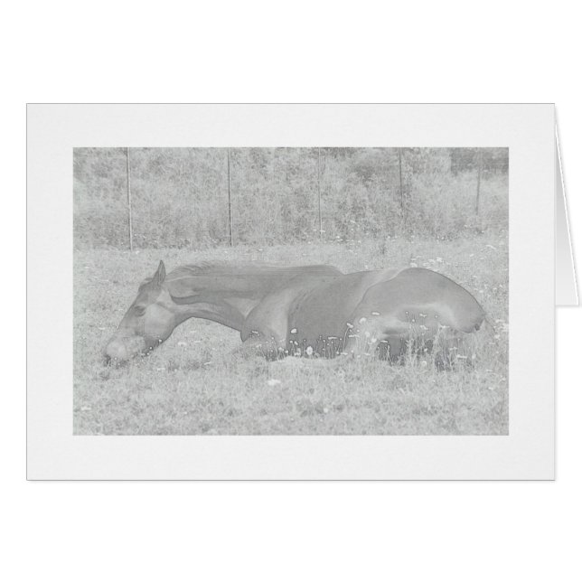 Días de verano perezosos (Anverso (Horizontal))