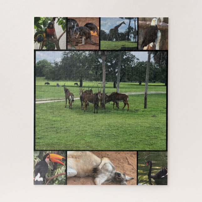 Días de Zoológico - Collage de Rompecabezas de Ani (Vertical)