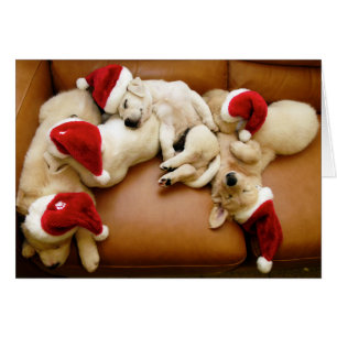 Días del perro de los Navidades
