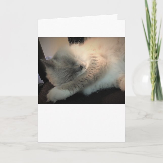 Días lentos, tarjeta (Anverso)