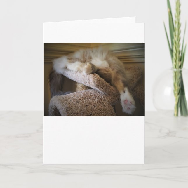 Días lentos, tarjeta (Anverso)