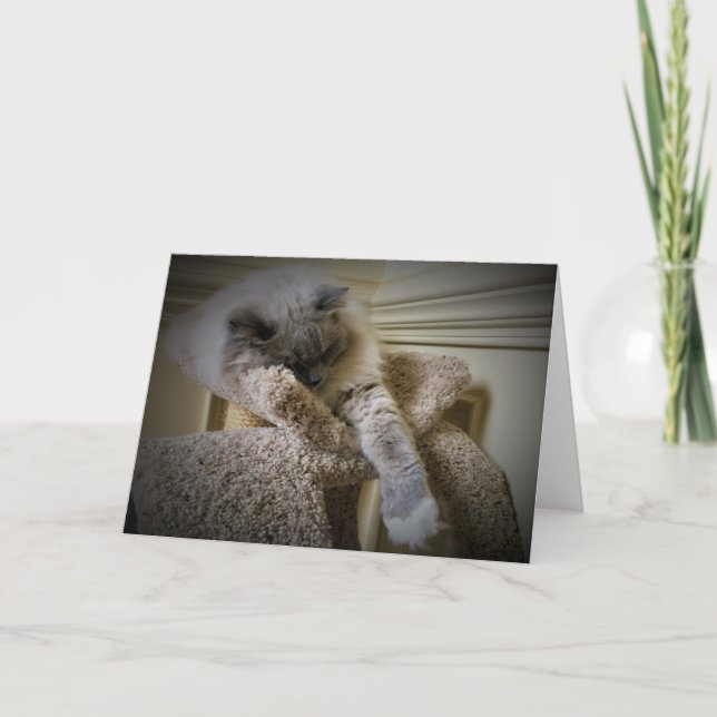 Días lentos, tarjeta (Anverso)