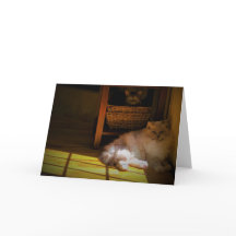 Días lentos, tarjeta