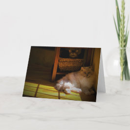 Días lentos, tarjeta