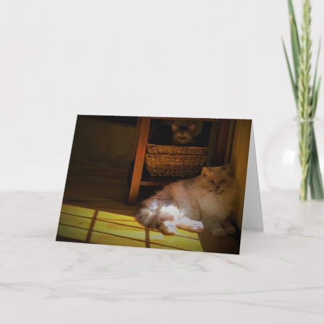 Días lentos, tarjeta (Anverso)