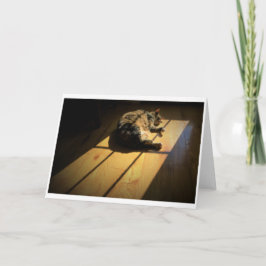 Días lentos, tarjeta